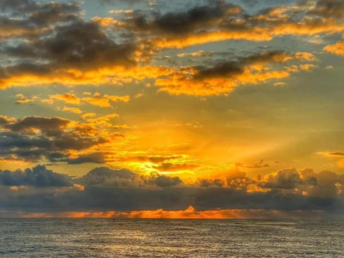 Tropical North Shore Getaway Hau'ula شقة