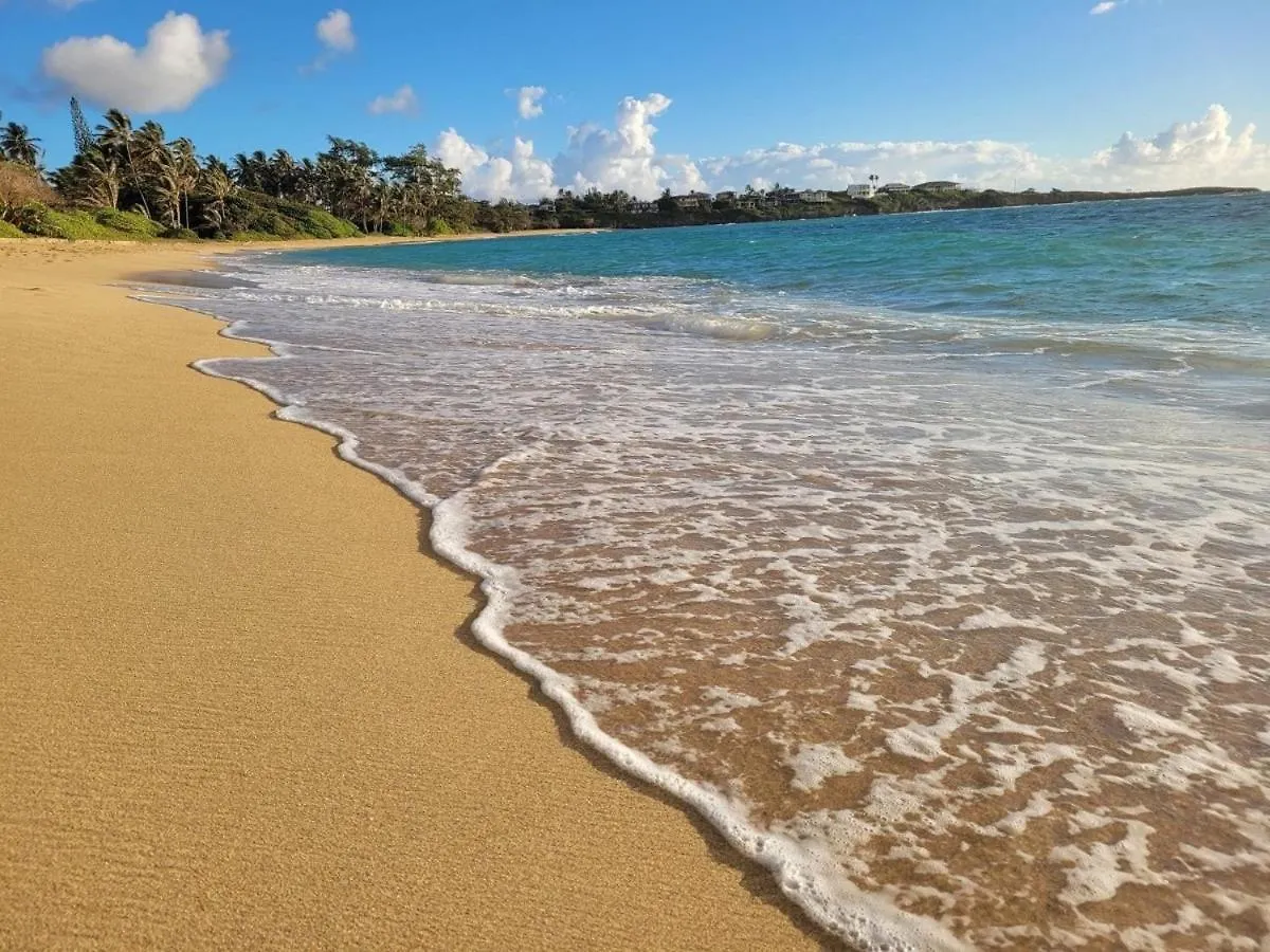 شقة Tropical North Shore Getaway Hau'ula الولايات المتحدة الأمريكية